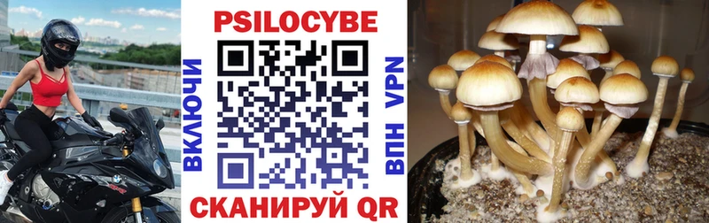 Псилоцибиновые грибы Magic Shrooms  Томмот 